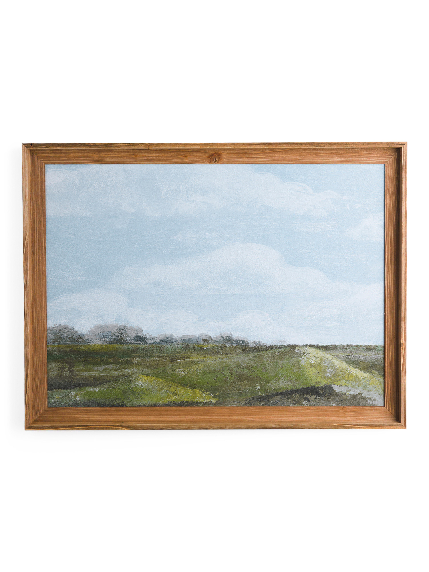 40x30 Field View Wall Art | TJ Maxx