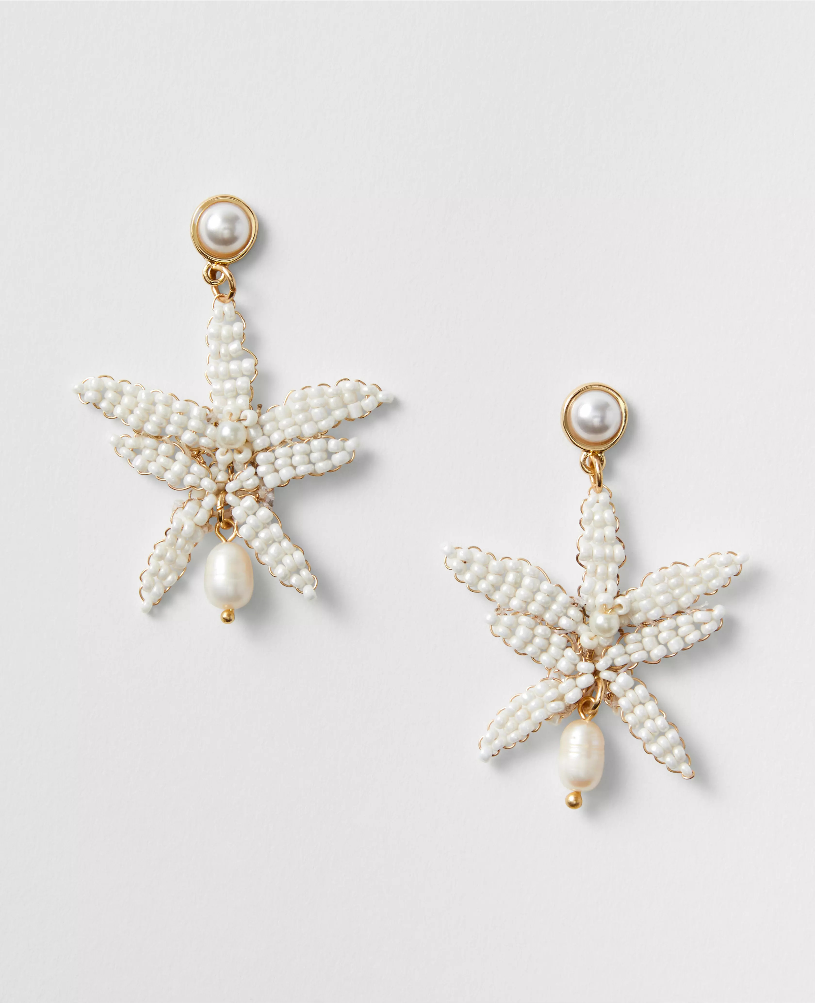 $69.99 | Ann Taylor (US)