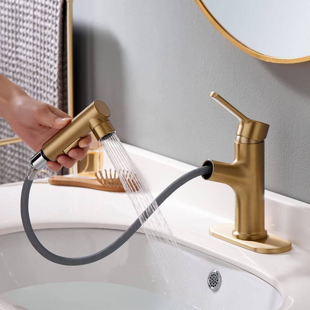 LAZ HOME Bathroom Sink Faucet Single Hole Bathroom Faucet with Pull Out Sprayer Modern Vanity Fau... | Amazon (US)