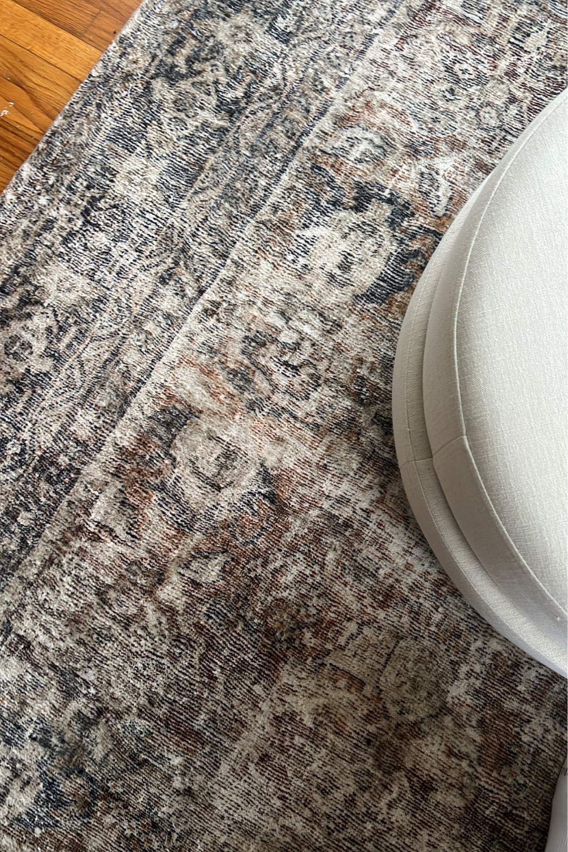 Sunroom rug in Morgan sunset! 

#LTKhome