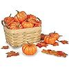 DomeStar Artificial Pumpkins for Decoration, 12PCS Mini Fake Pumpkins with 30PCS Lifelike Maple L... | Amazon (US)