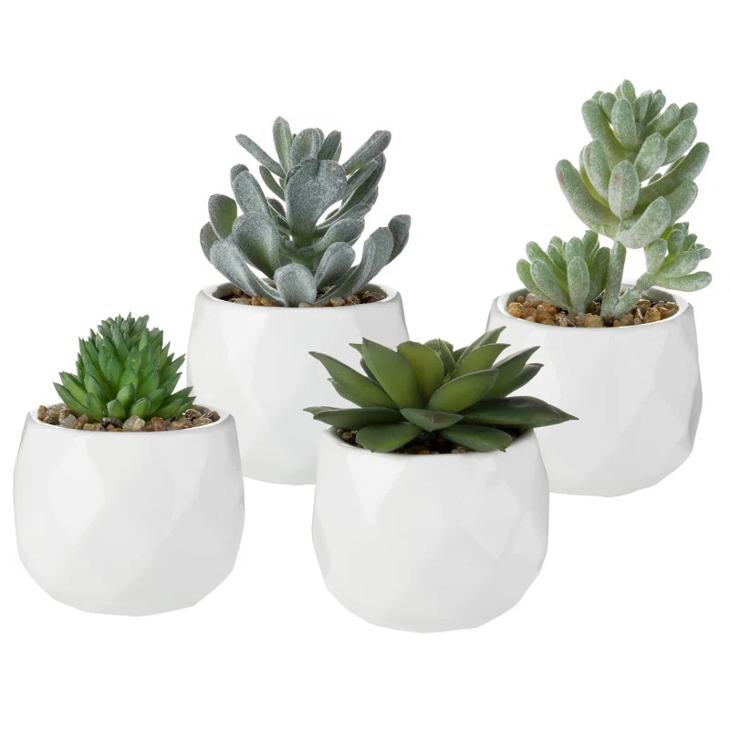 4 - Piece Artificial Succulent Plant in Pot | Wayfair North America