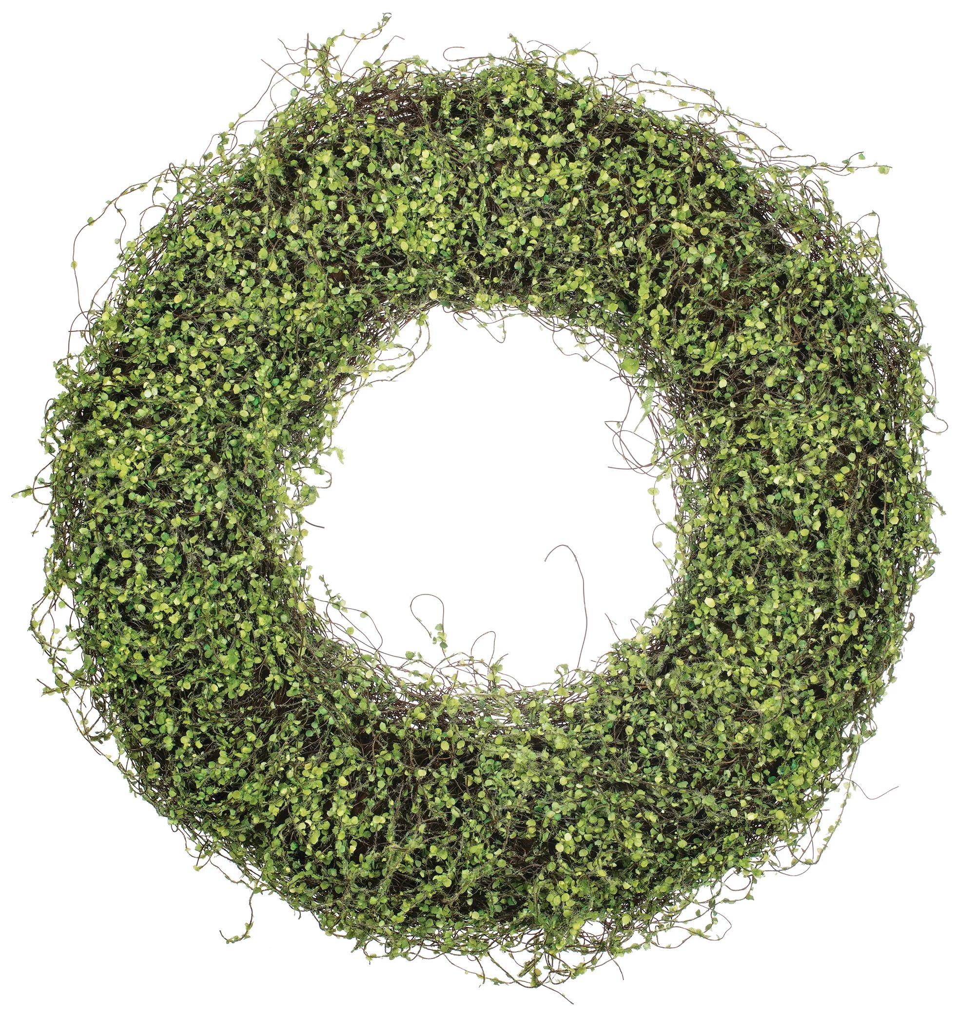 August Grove® 22" Artificial Leafy Vine Wreath | Wayfair | Wayfair North America
