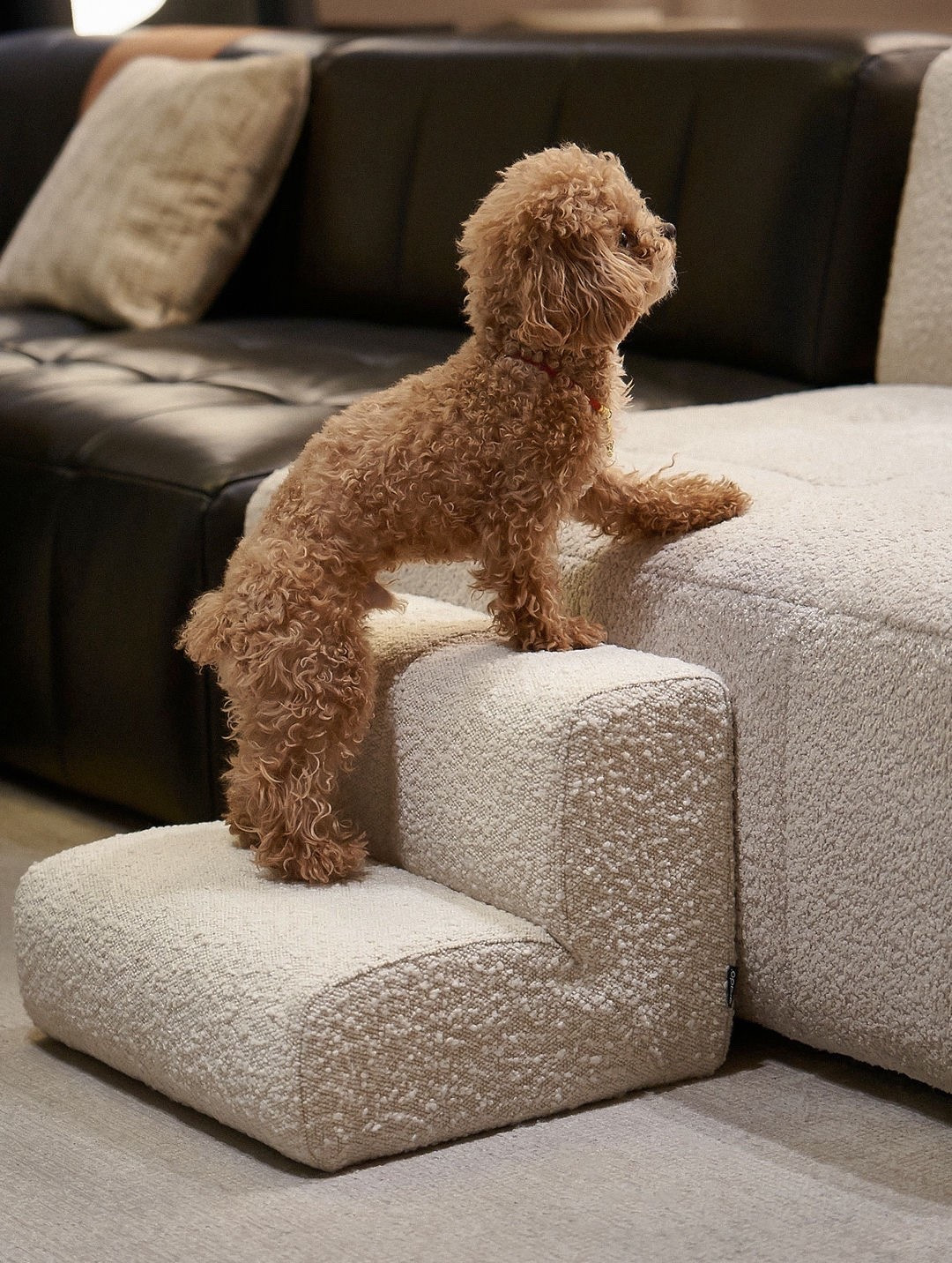 Amazon puppy essentials, neutral aesthetic. Must haves for your puppy 🐶. 🏠 #amazon #puppy 

#LTKBaby #LTKdayinmylife #LTKgrwm