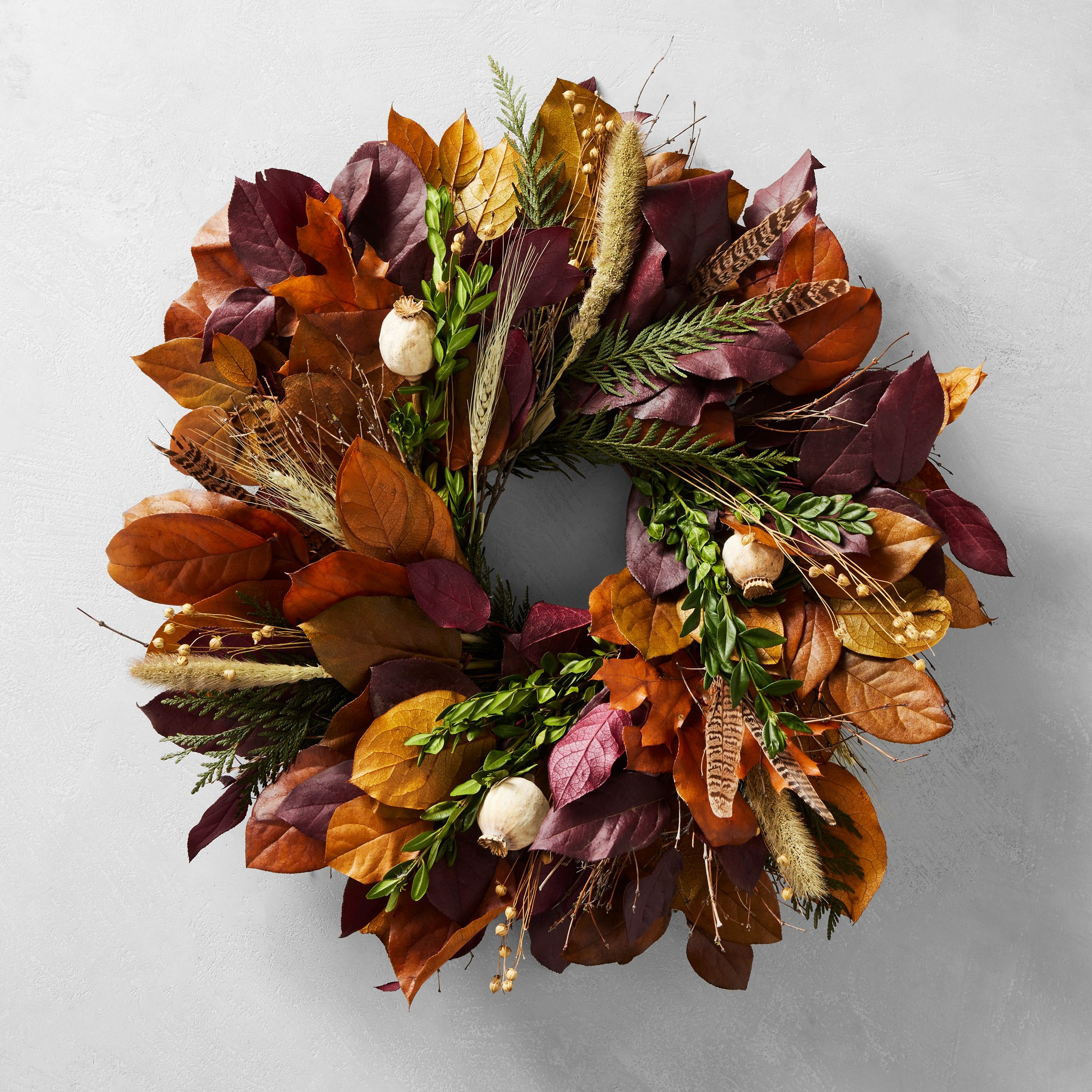 Live Pheasant Feather Wreath, 16" | Williams-Sonoma