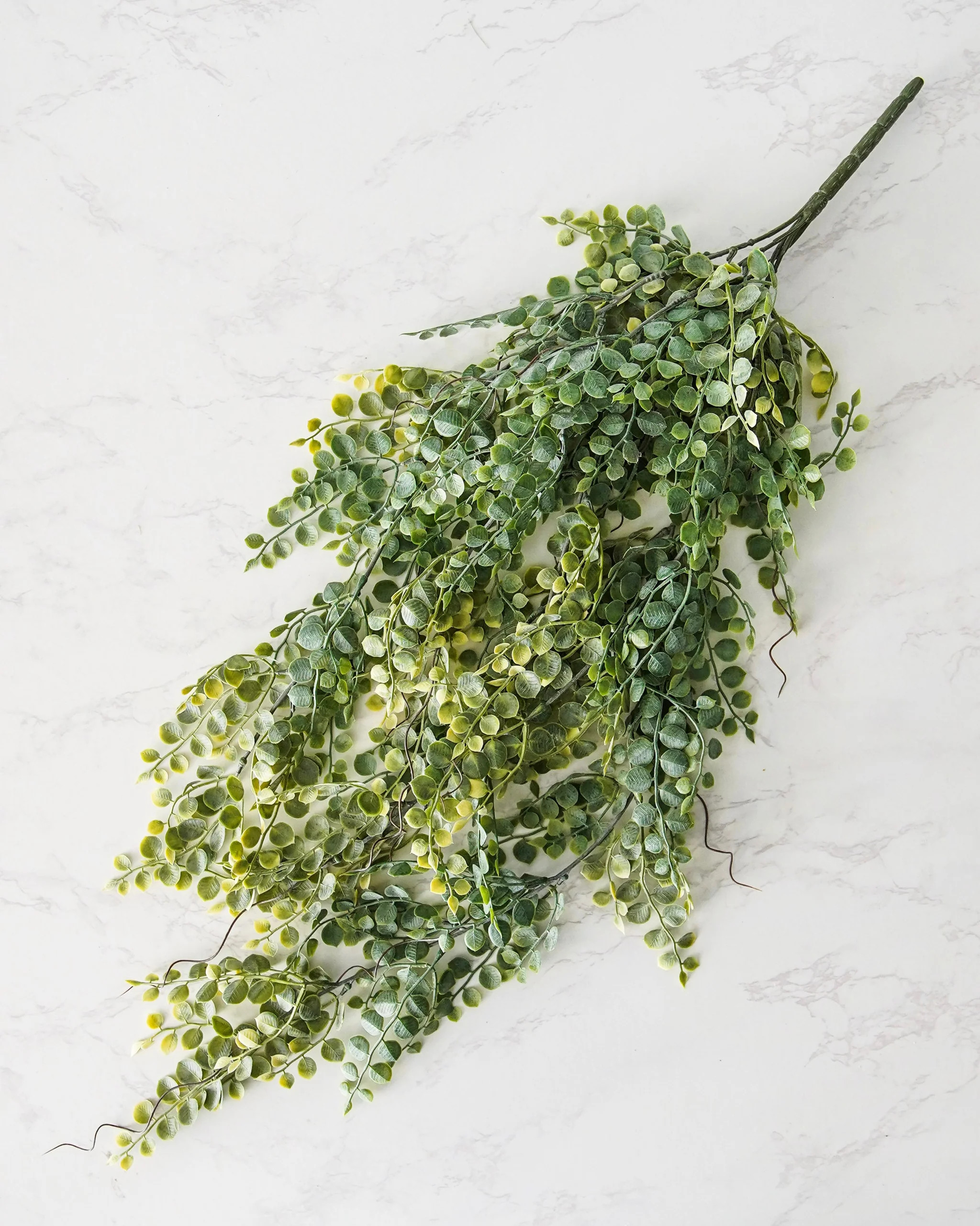 Meadow Eucalyptus Hanging Stem | MJHome