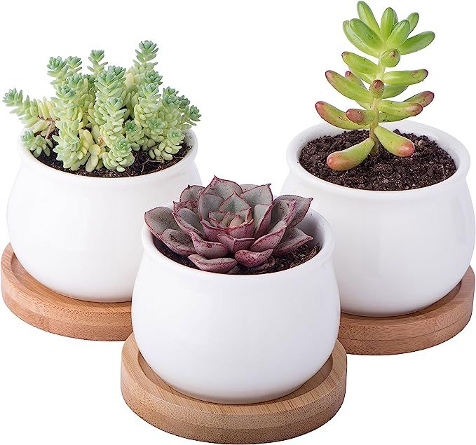 StarPack Premium 3 Piece Mini White Ceramic Succulent Planter Pot Set with Bamboo Bases | Amazon (US)