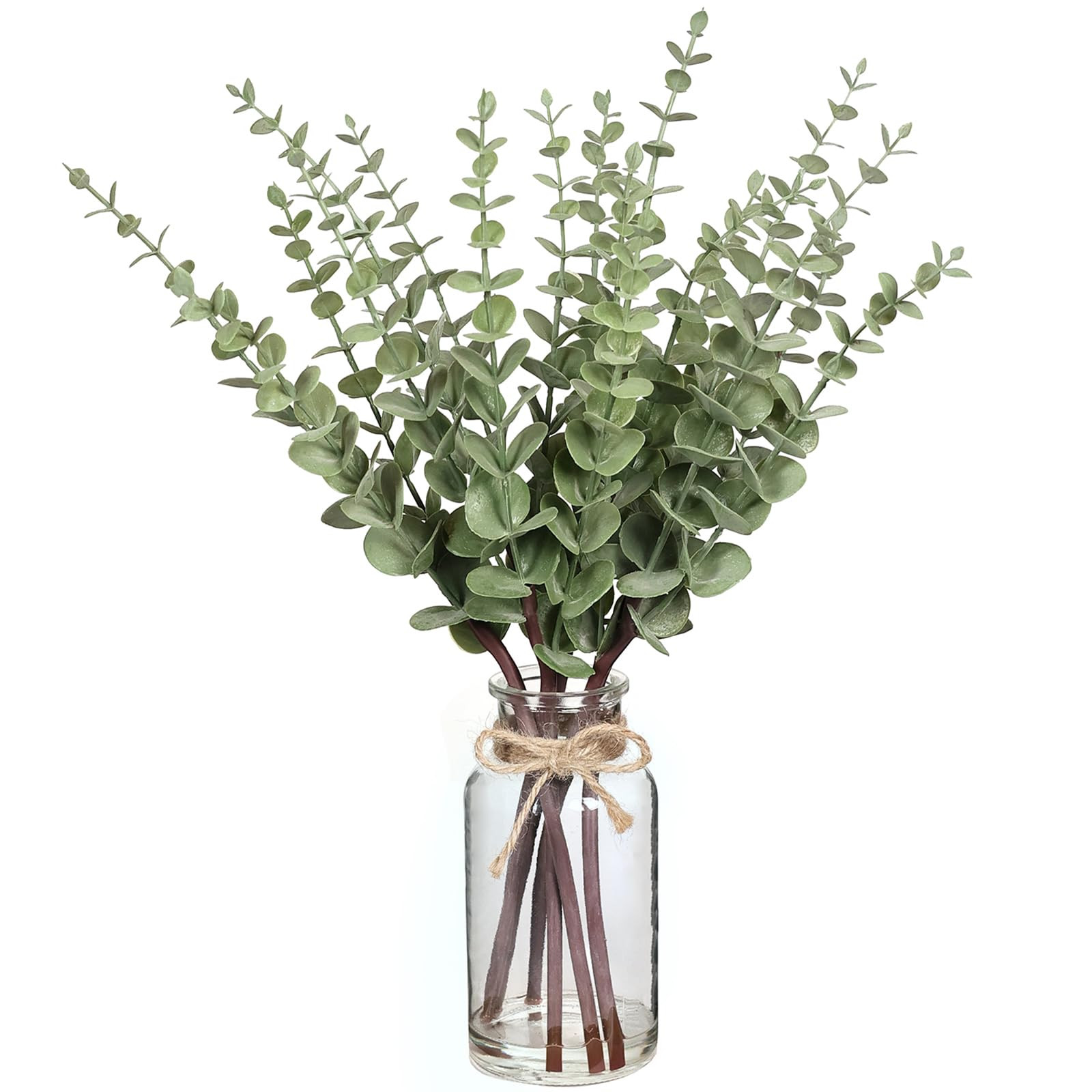 VIERENA 17.5" Artificial Eucalyptus Stems in Glass Vase with Faux Water,Fake Plant Eucalyptus Lea... | Amazon (US)