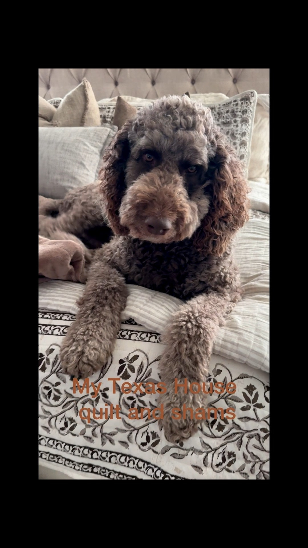 Favorite Walmart Home finds! 

#LTKHome