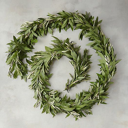 Fresh Bay Leaf & Olive Garland | Terrain