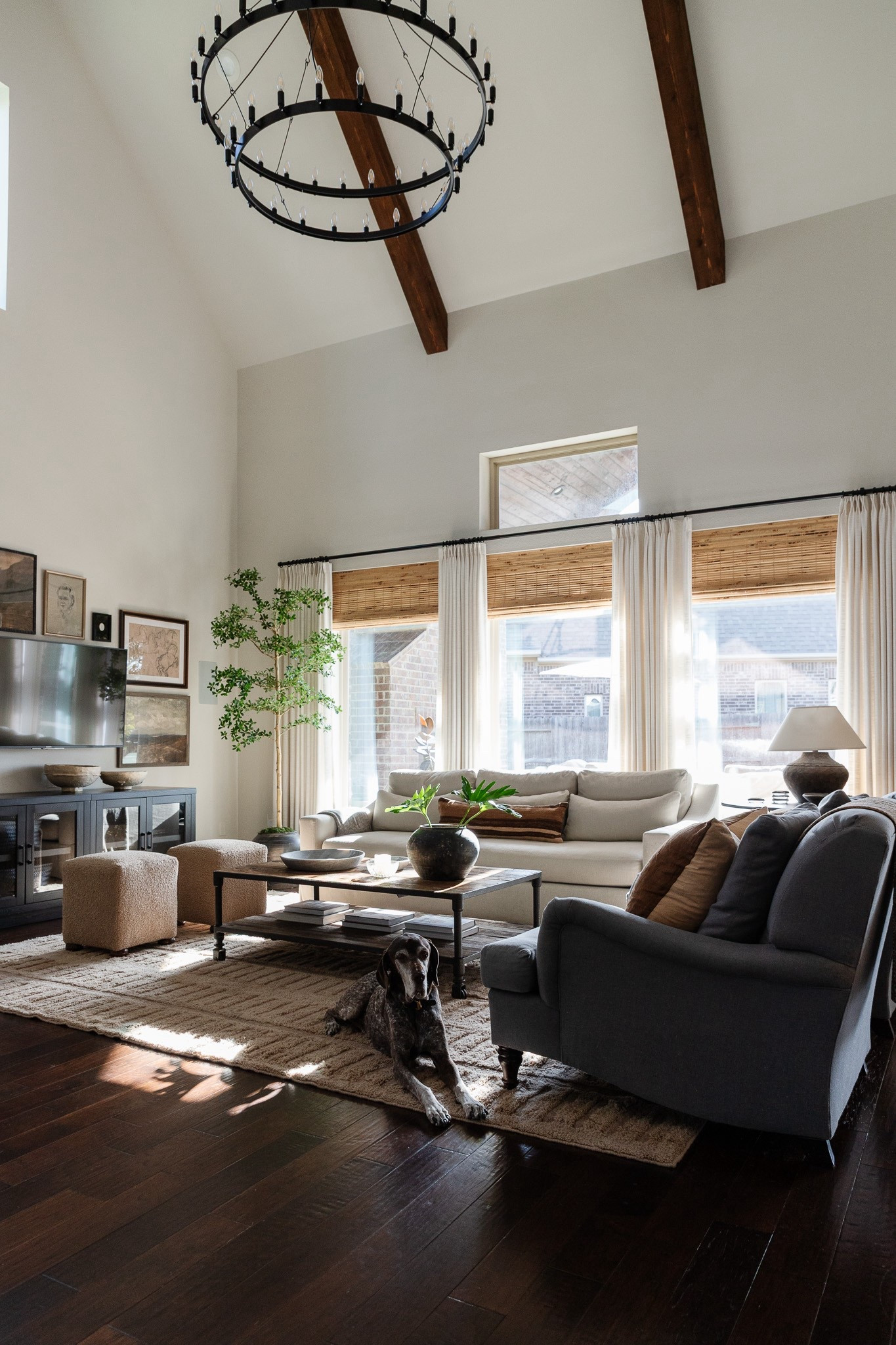 Traditional modern living room, beige slipcover sofa, gray armchairs, neutral washable rug, linen drapes with bamboo shades, faux black olive tree, gallery wall art, extra large chandelier



#LTKHome