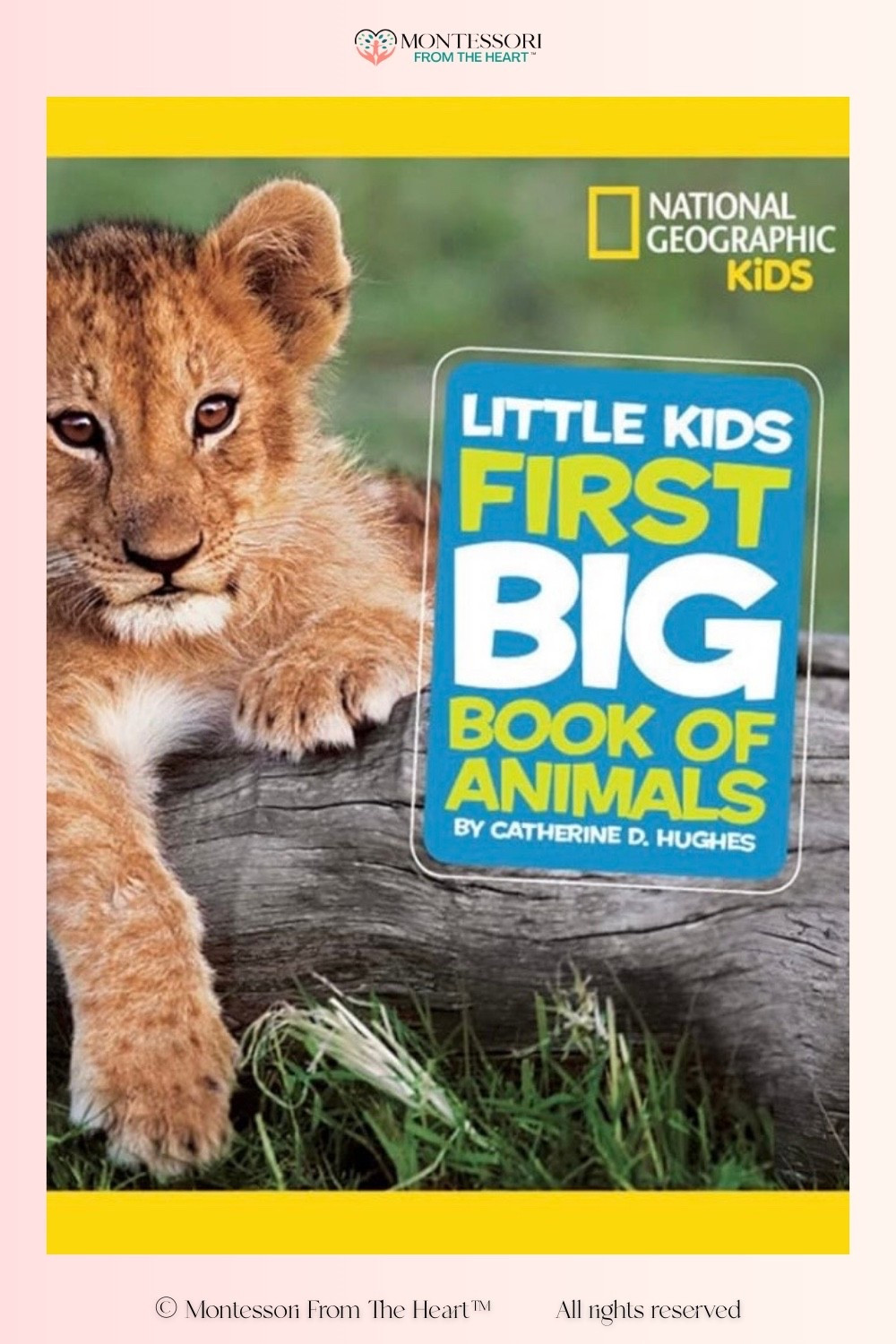 Little Kids First Big Book of Animals by National Geographic Kids

#LTKKids #LTKstorytime #LTKHome