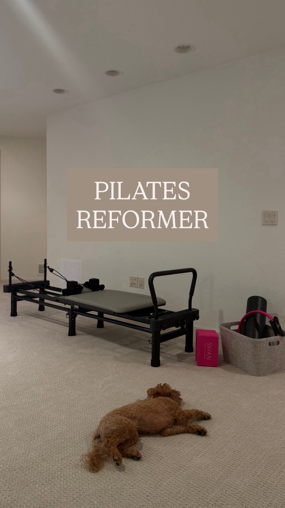 Pilates reformer at home, easy to put together and under $600, has really great reviews 

#LTKActive #LTKFallSale