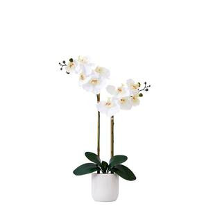 Nearly Natural 26 in. White Artificial Double Orchid Phalaenopsis Floral Arrangement with Decorat... | The Home Depot