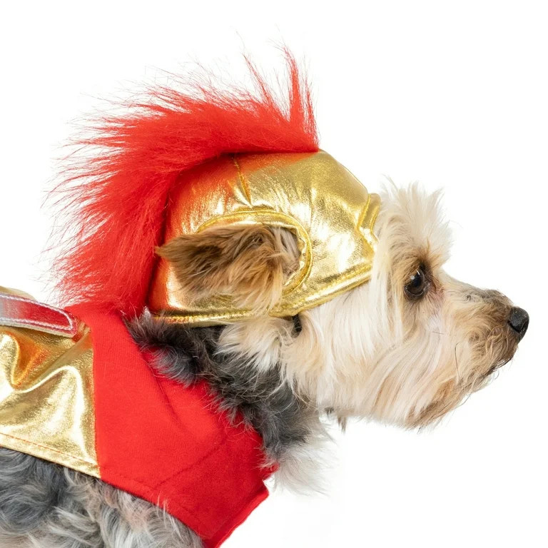 Vibrant Life Halloween Gladiator Costume for Dogs and Cats, Multicolor, Extra Small | Walmart (US)