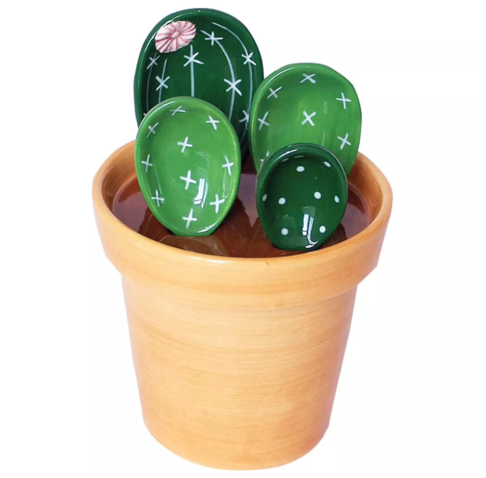 Ceramic Cactus Measuring Spoons … curated on LTK