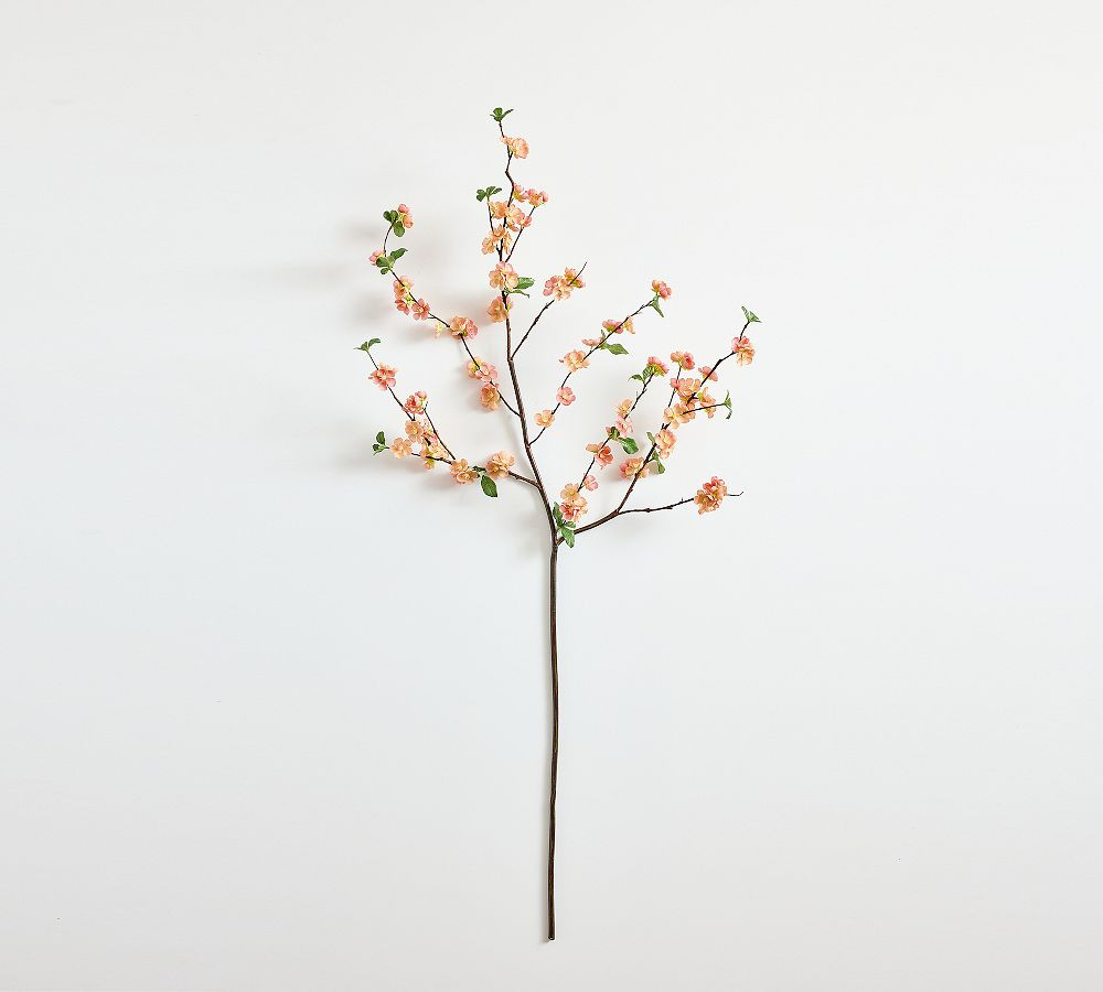 Faux Peach Quince Branch | Pottery Barn (US)