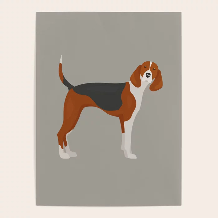 English Foxhound Poster | Society6