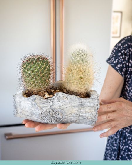 This planter has a beautiful log look that will enhance the appearance of any plant or item that it holds. I love how my cacti look in it. #planter #plants #homedecor #garden #planters #plant #gardening #flowers #plantsmakepeoplehappy #plantlover #succulents #ceramics #indoorplants #interiordesign #houseplants #pot #pots #plantlife #home

#LTKfindsunder50 #LTKhome #LTKfindsunder100