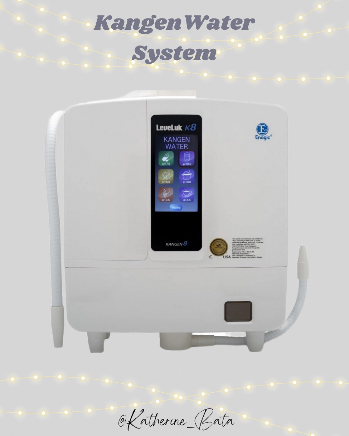 Kangen Water System 
Highest quality antioxidant water on the market with best health benefits. Elevate your water game with this water system.

#LTKbeauty #LTKhome #LTKfitness