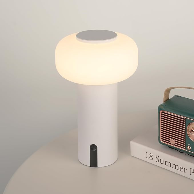 Shower Lamp Waterproof, Outdoor Cordless Table Lamp Rechargeable, Portable Battery Operated Lamp,... | Amazon (US)