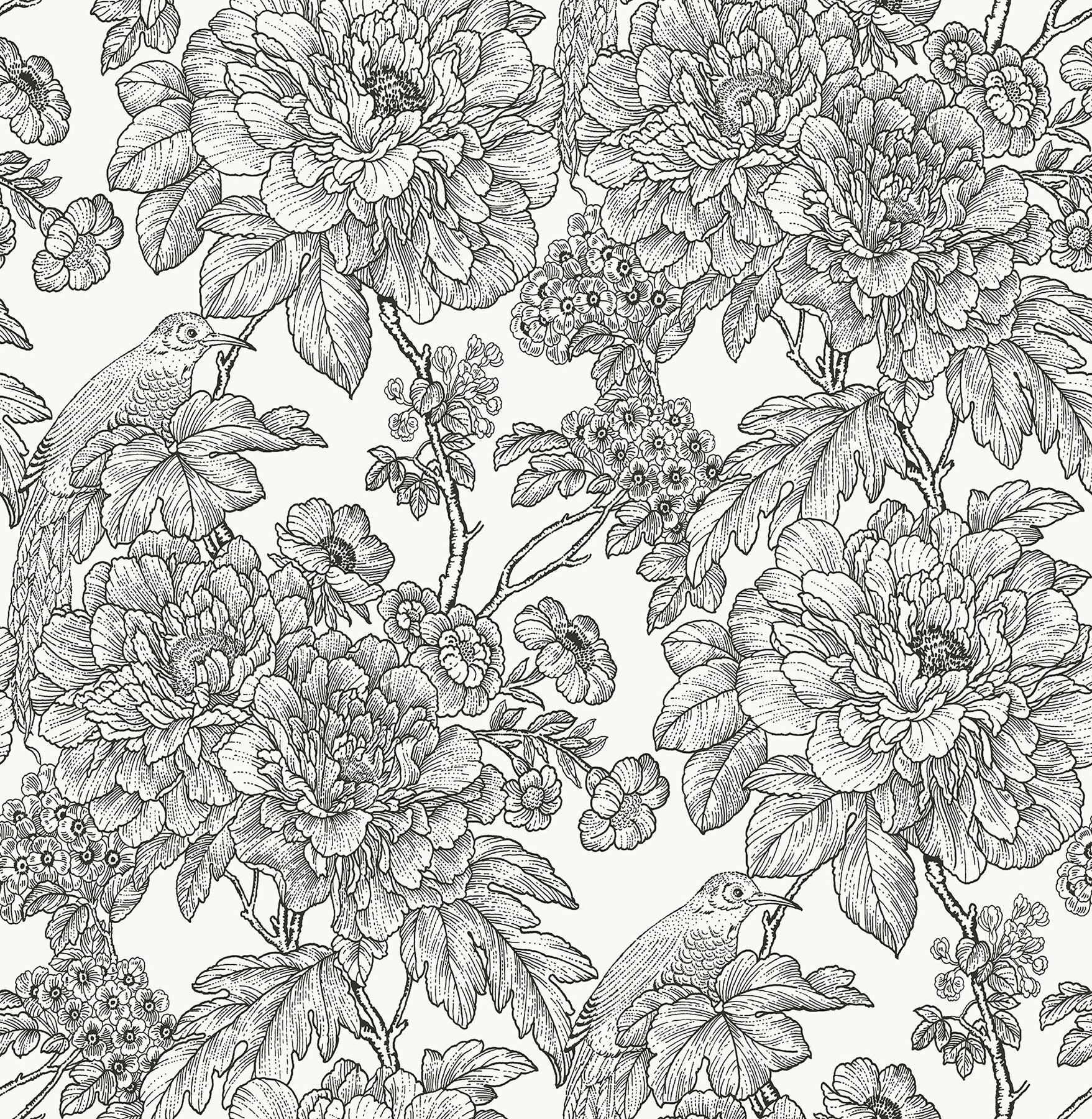 NuWallpaper 30.75-sq ft Black Vinyl Floral Self-adhesive Peel and Stick Wallpaper | NUS3544 | Lowe's