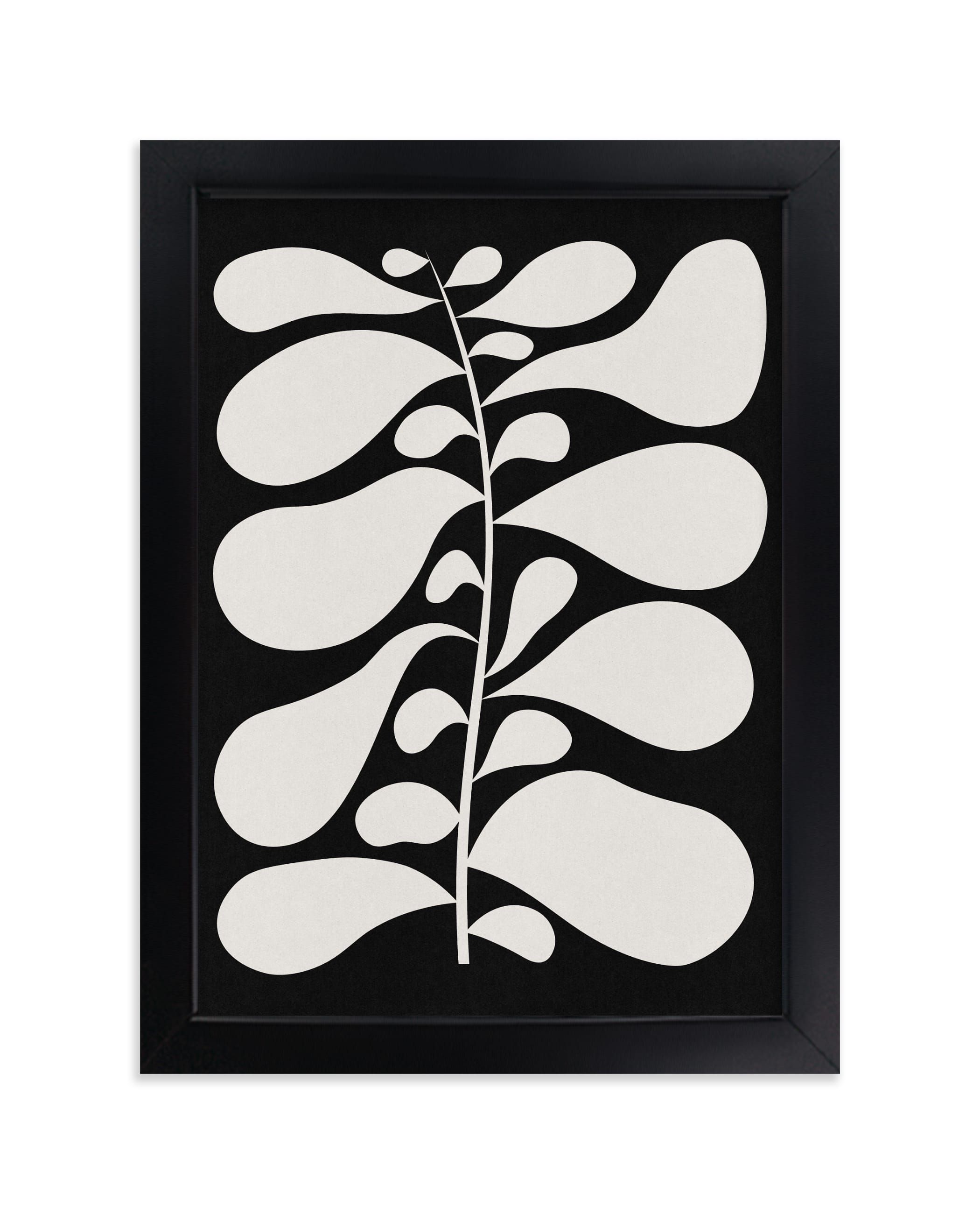 "Black Plant II" - Graphic Limited Edition Art Print by Alisa Galitsyna. | Minted