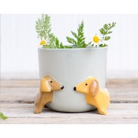 Dachshund Planter Succulent Plant Pot Cute Animal Flower Planter Flowerpot Lovely Little Dog Home Garden Decor Flower Pots Birthday Gift | Etsy (US)