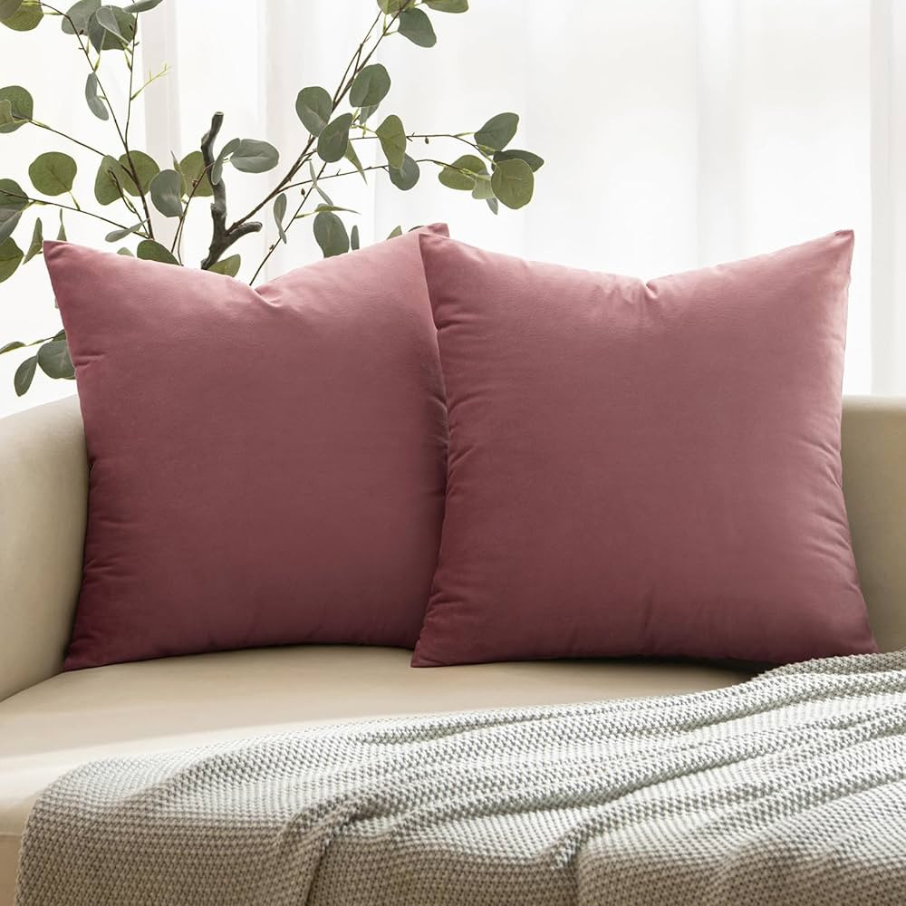 ANRODUO Pack of 2 Velvet Dusty Rose Throw Pillow Covers Spring Decorative Pillow Covers Euro Cush... | Amazon (US)
