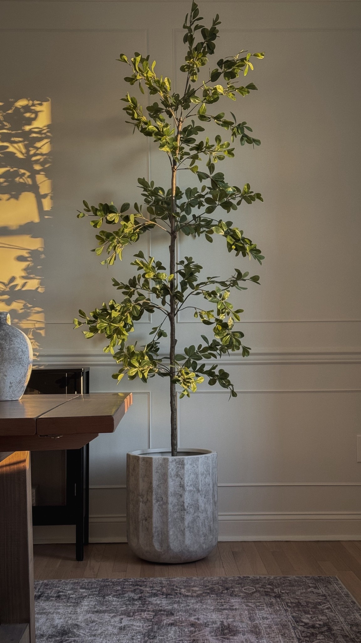 Loving the new affordable planter for my olive tree! Under $30!

Home decor, Walmart home, planter pot, faux olive tree, living room decor, dining room decor, bedroom decor

#LTKHome