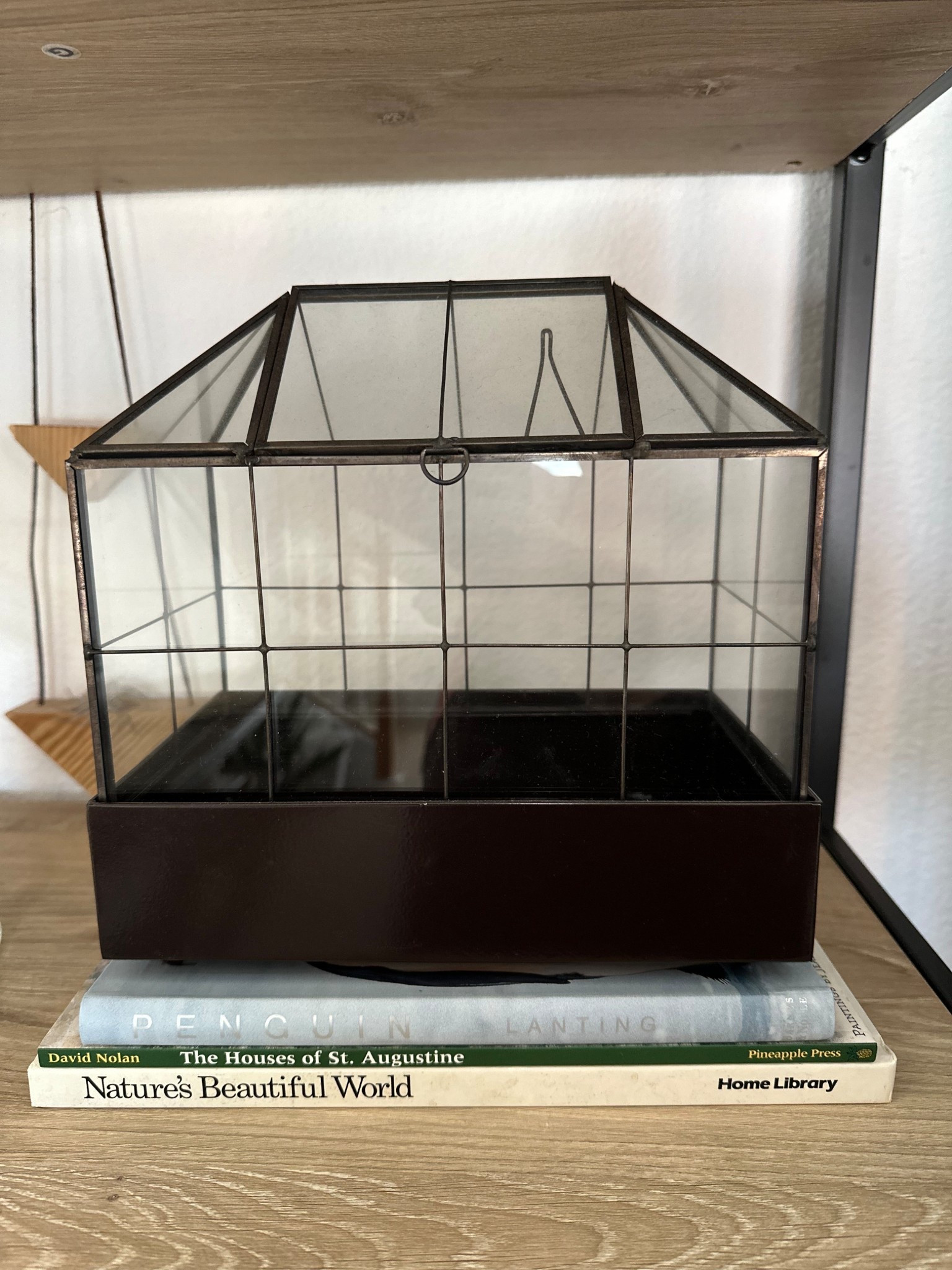 Plant or snail terrarium 

#LTKFindsUnder50 #LTKHome