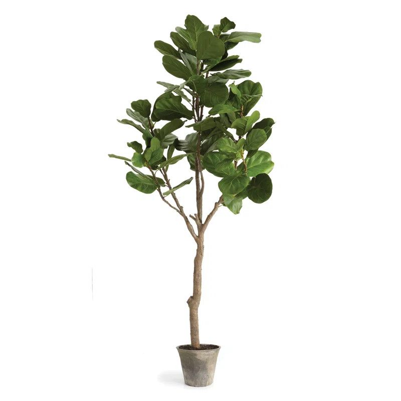 79'' Faux Fiddle Leaf Fig Tree in Ceramic Pot Wayfair Home Decor Finds Wayfair Favorites | Wayfair North America
