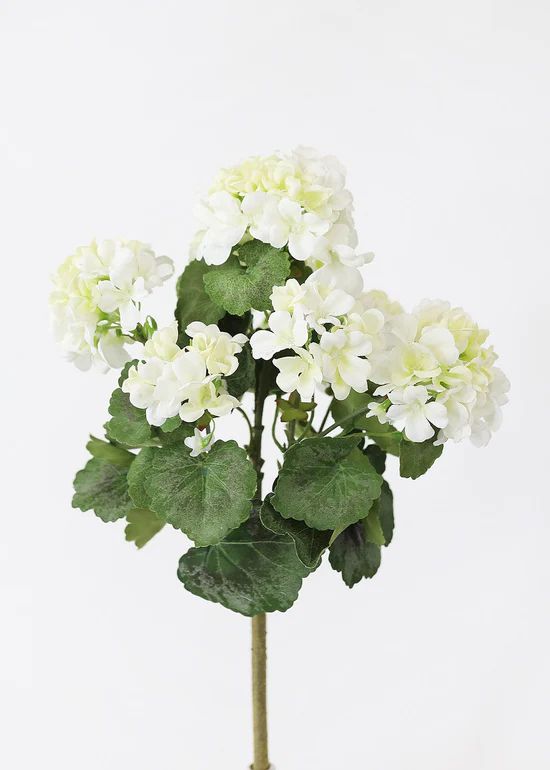 UV Protected Indoor/Outdoor Geranium Bush - 18 | Afloral