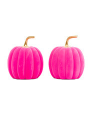 Set Of 2 Flocked Pumpkins | TJ Maxx