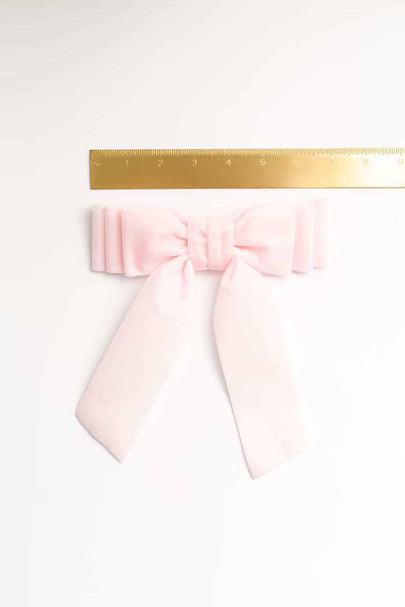 Ballet Slipper Pink Oversized Velvet Hair Bow Clip, Long Tail Bow French Barrette | Grace & Grand... | Etsy (US)
