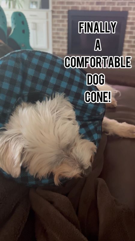 Need a medical cone for your pet?
My dog keeps licking his leg where it’s getting red and infected. Is comfortable cone is soft and actually acts as a neck pillow for him. He loves when I put it on and sleeps with peace.  He is still able to eat and drink with no issues. Definitely recommend this neck inflatable cone for your dog or cat. 

#LTKfamily #LTKfindsunder50 #LTKhome