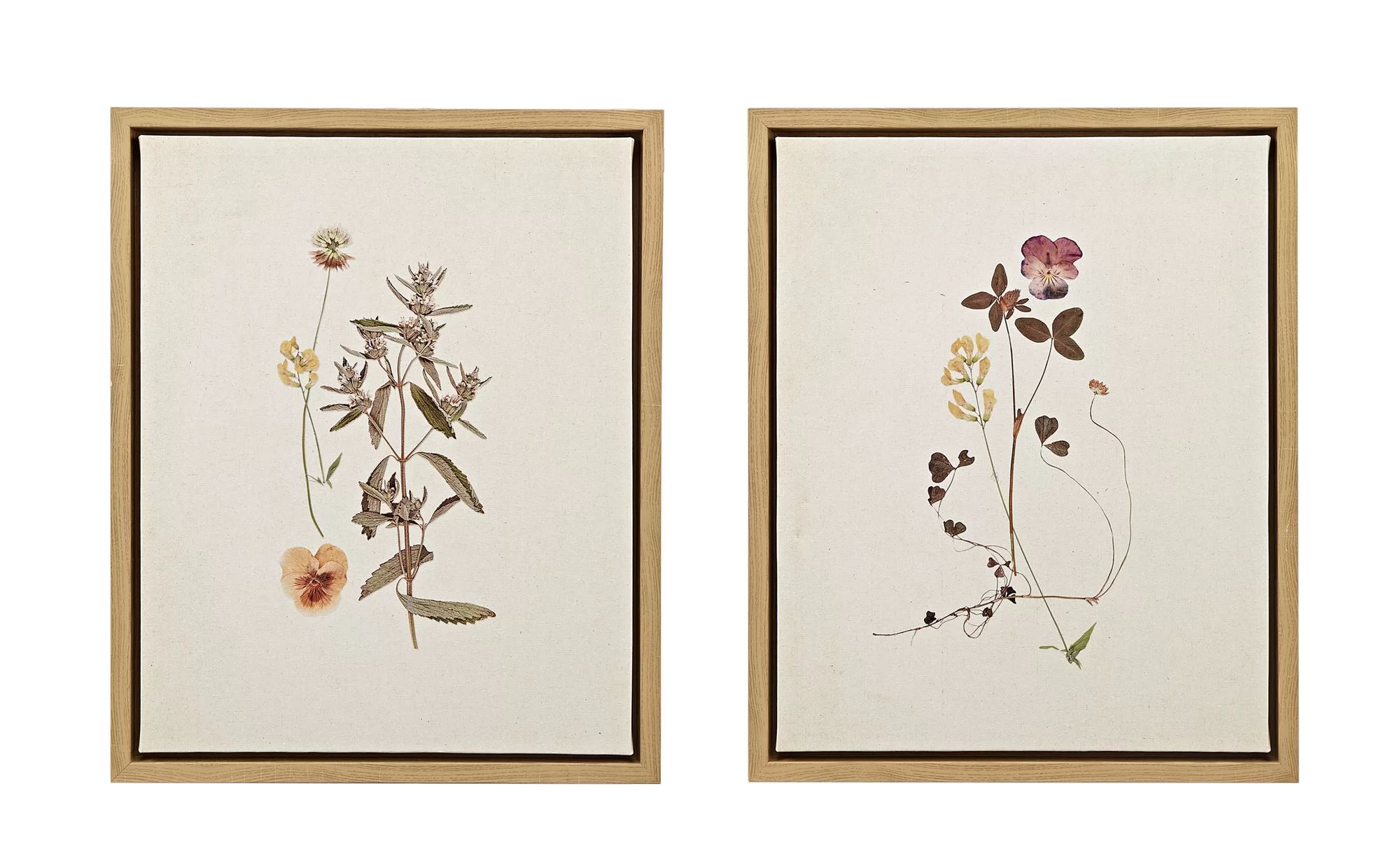 Martha Stewart French Herbarium Framed Linen Canvas 2 Piece Set | Wayfair North America
