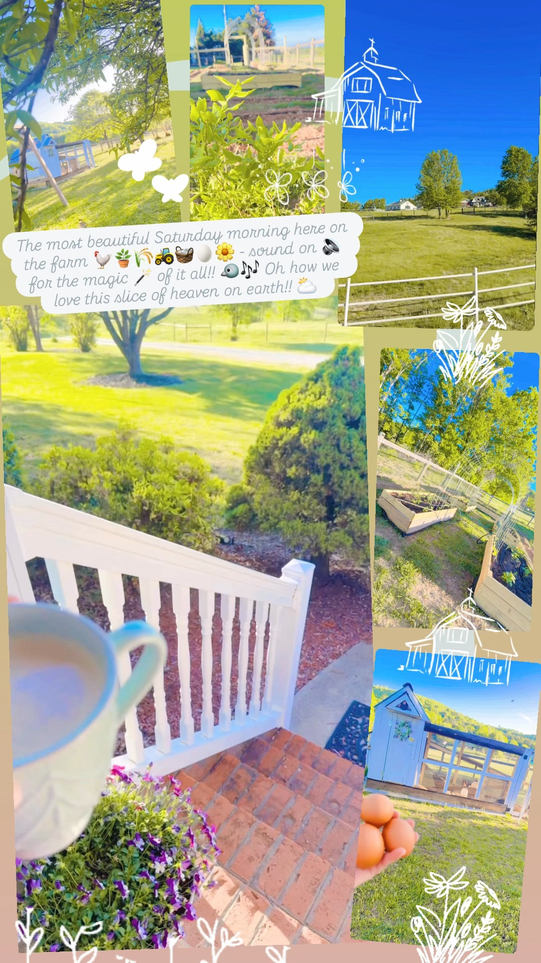 The most beautiful Saturday morning here on the farm 🐓🪴🌾🚜🧺🥚🌼 - sound on 🔉 for the magic 🪄 of it all!! 🐦🎶 Oh how we love this slice of heaven on earth!! ⛅️ 