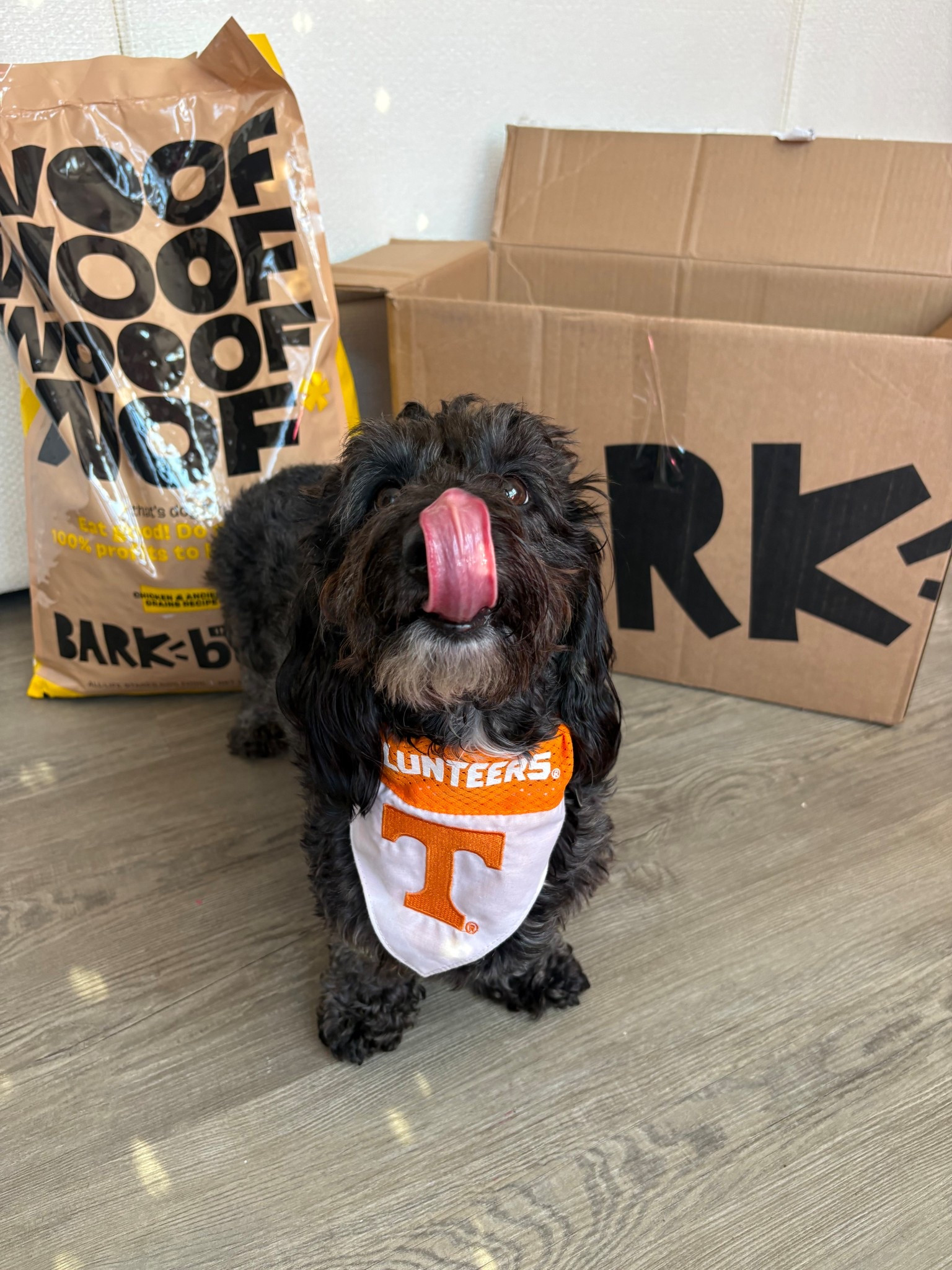 Introducing the brand new co-owned dog food! Bark in the belly! My dogs love it for so many reason, such as real chicken in the #1 ingredient, helps with their digestive system, hip and joints, immune system, and much more! 🐾🤍 #ad #barkpartner #shopdog #barkcoowned #liketkit @bark