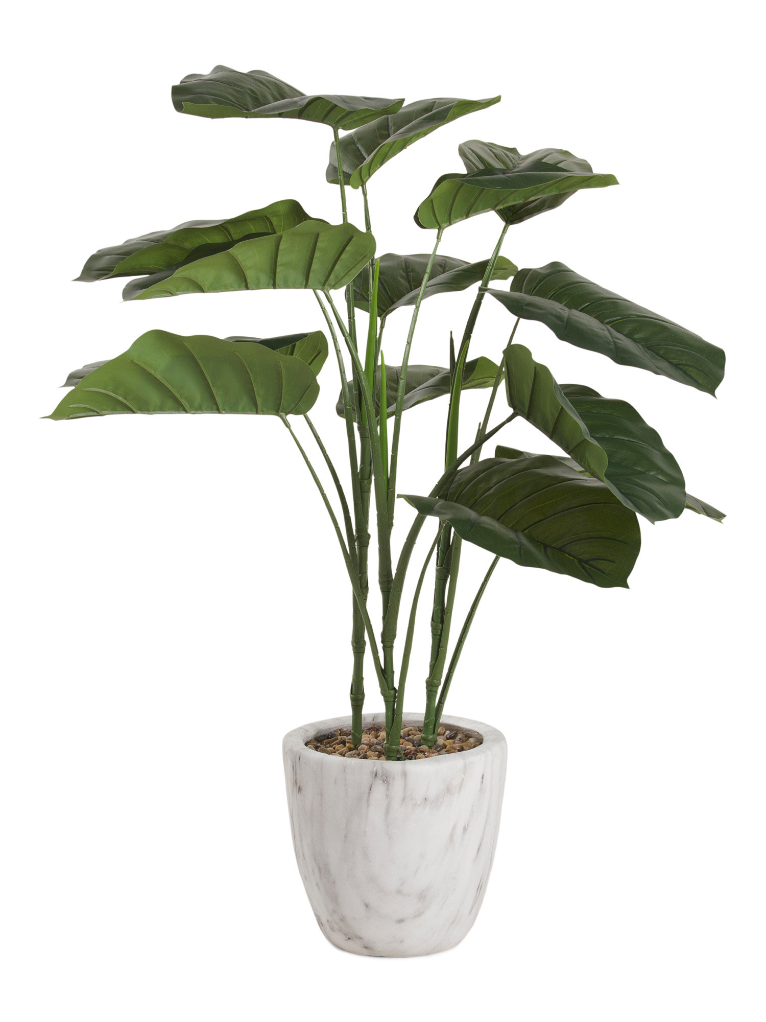 41in Elephant Ear In Marble Pot | TJ Maxx