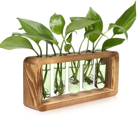 Glass Plant Propagation Station with 5 Test Tubes Colorful Planter Vase Birthday Gifts for Women ... | Amazon (US)