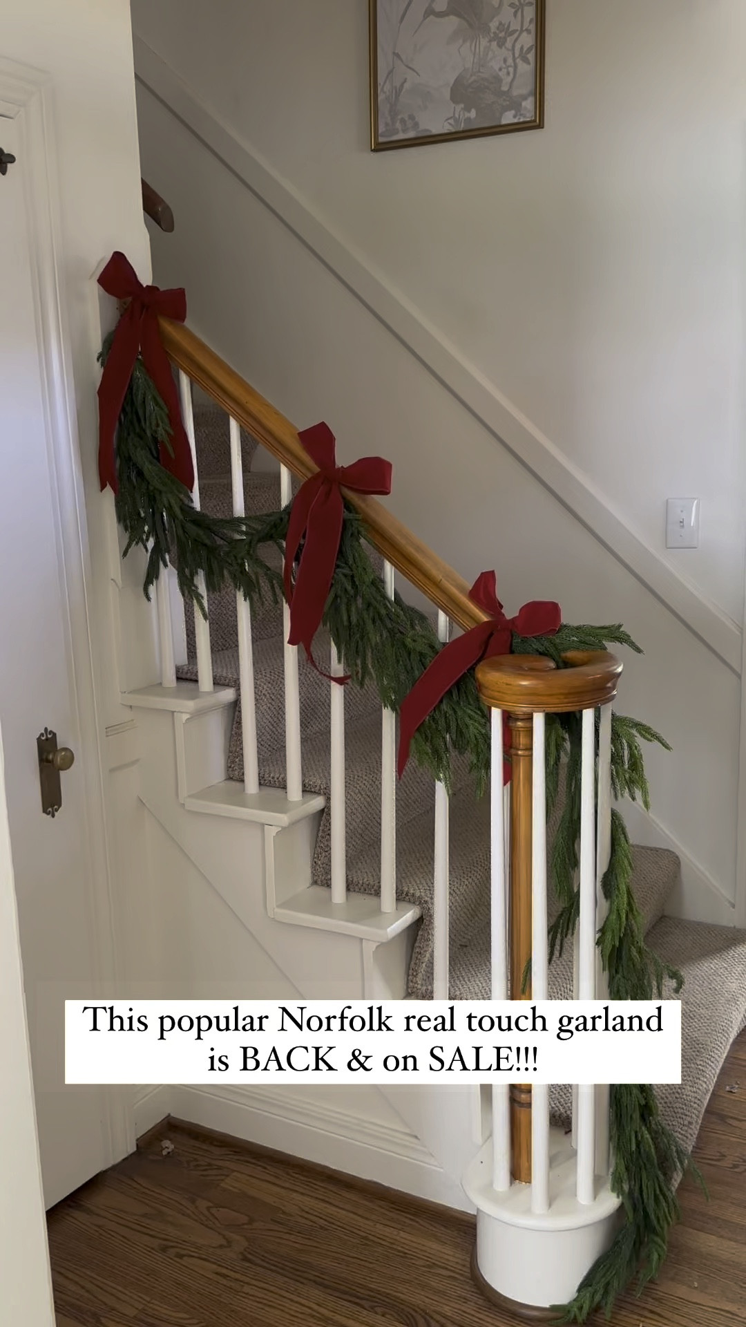 Use code 20ENTIRE for 20% off this Garland!!

Norfolk garland
Real touch garland
Real touch Norfolk pine garland 
Affordable Christmas garland
Norfolk pine natural touch garland sale
Garland under $35

#LTKhome #LTKsalealert #LTKSeasonal