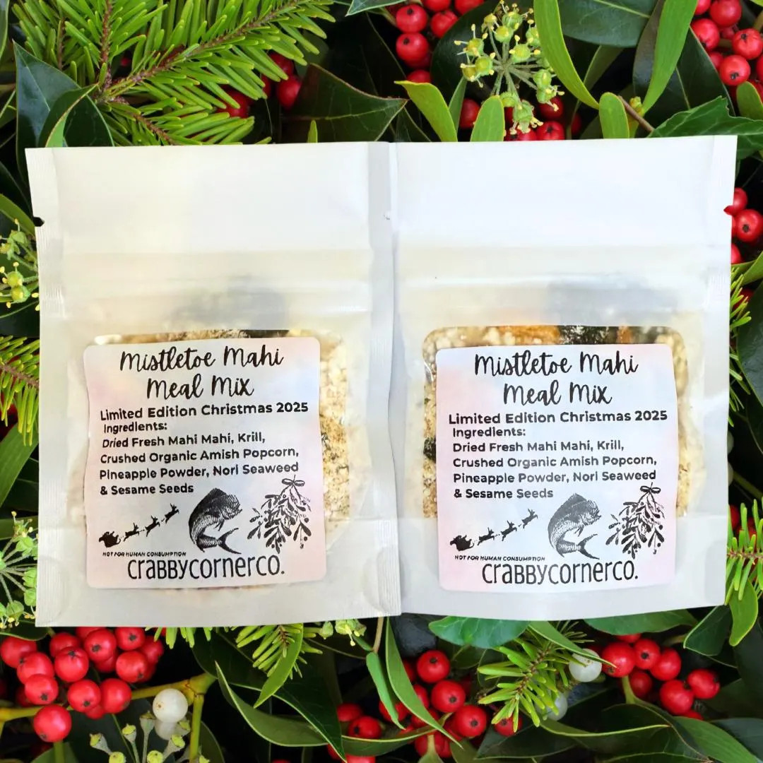 Mistletoe Mahi Meal Mix | Hermit Crab Food - Etsy | Etsy (US)