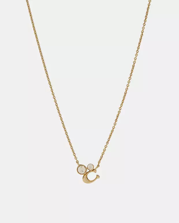 Signature Crystal Cluster Necklace | Coach Outlet US