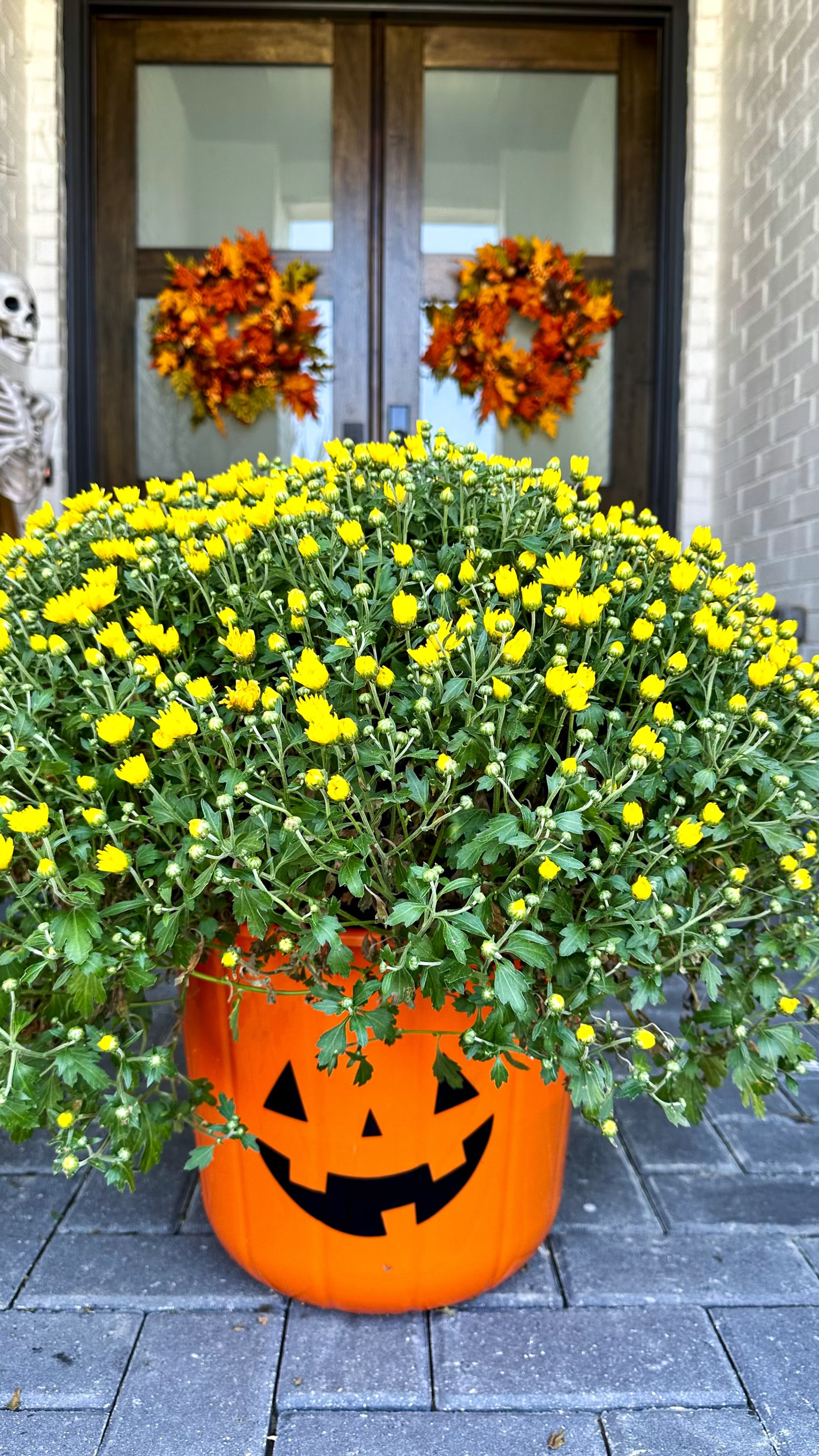 Pumpkin bucket , jackolantern bucket used for watering mums

#LTKHalloween #LTKhome #LTKSeasonal