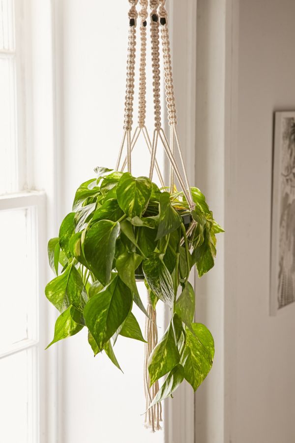 Iris Macrame Hanging Planter | Urban Outfitters (US and RoW)