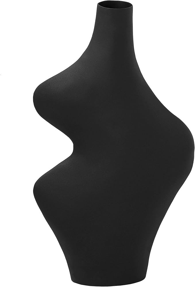 Tarri Black Steel Vase | Amazon (US)