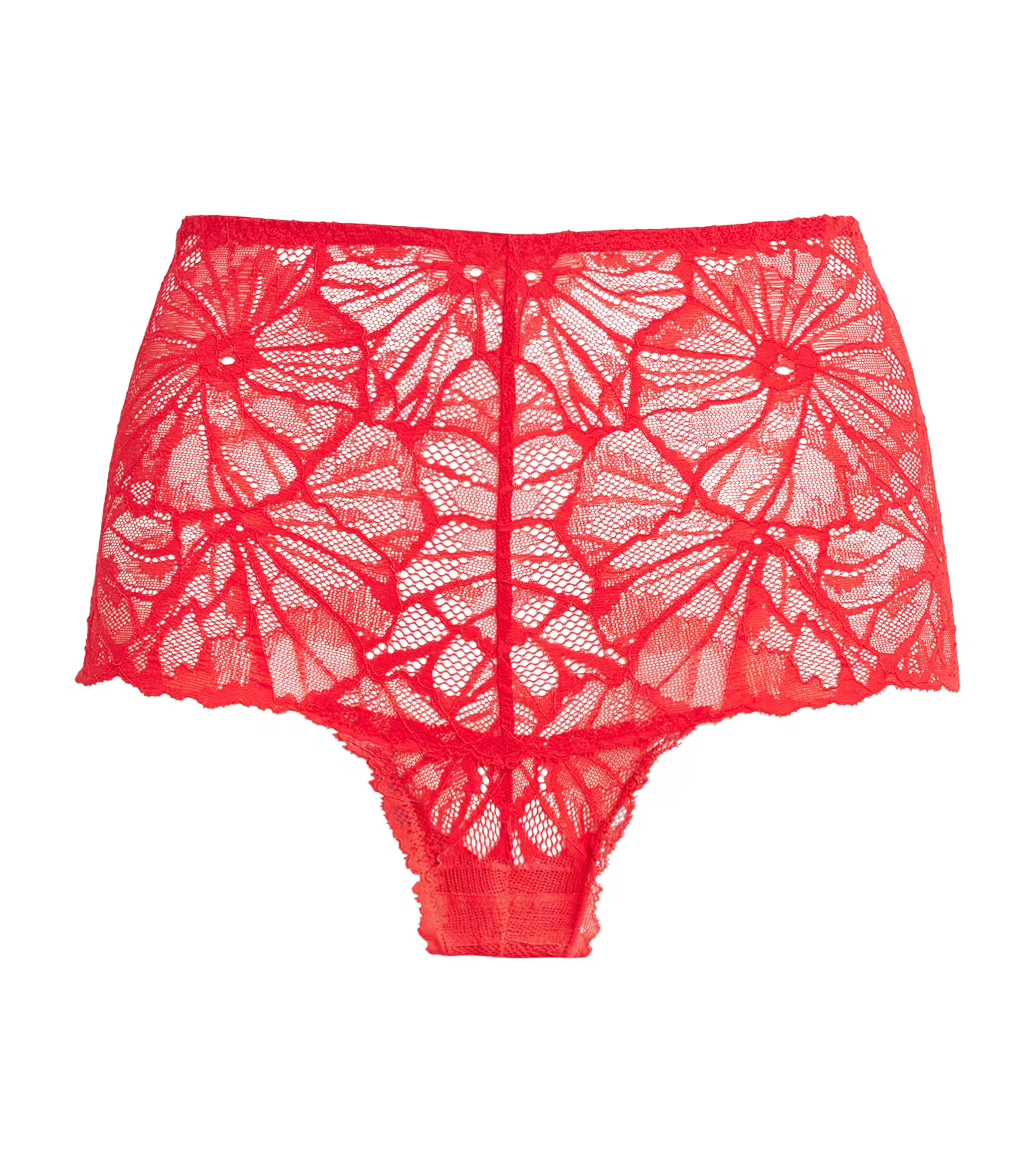 Dora Larsen Lace Bea High-Waist Briefs | Harrods