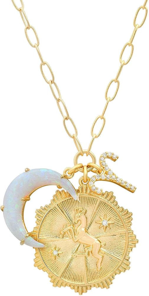 Dainty Gold Zodiac Embossed Coin Opal Crescent Moon Charm Necklace for Women Trendy 18K Gold Plat... | Amazon (US)