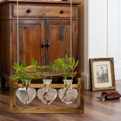 Heart Shaped Propagation Station With Wooden Stand - Air Plant Terrarium For Hydroponics, Home Garden Decor And Plant Lover Gifts | Wayfair North America